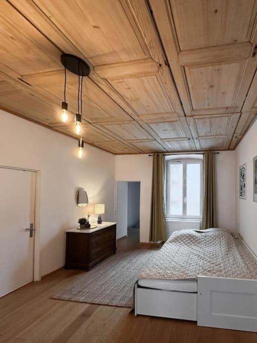 Hypercentre 80M2, A Deux Pas Du Chateau Des Rohan Саверн Экстерьер фото