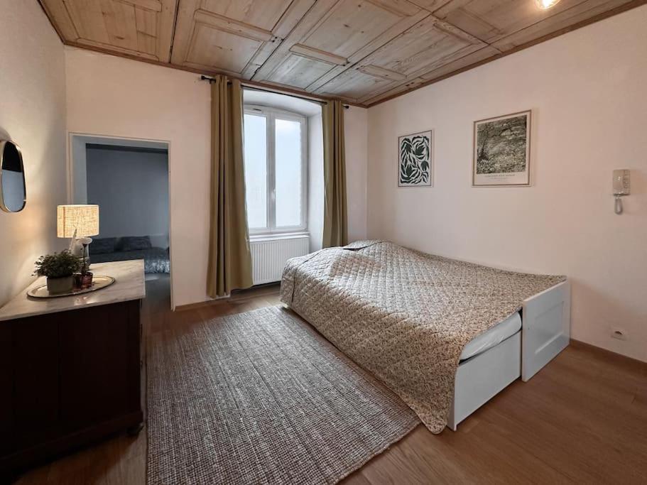 Hypercentre 80M2, A Deux Pas Du Chateau Des Rohan Саверн Экстерьер фото